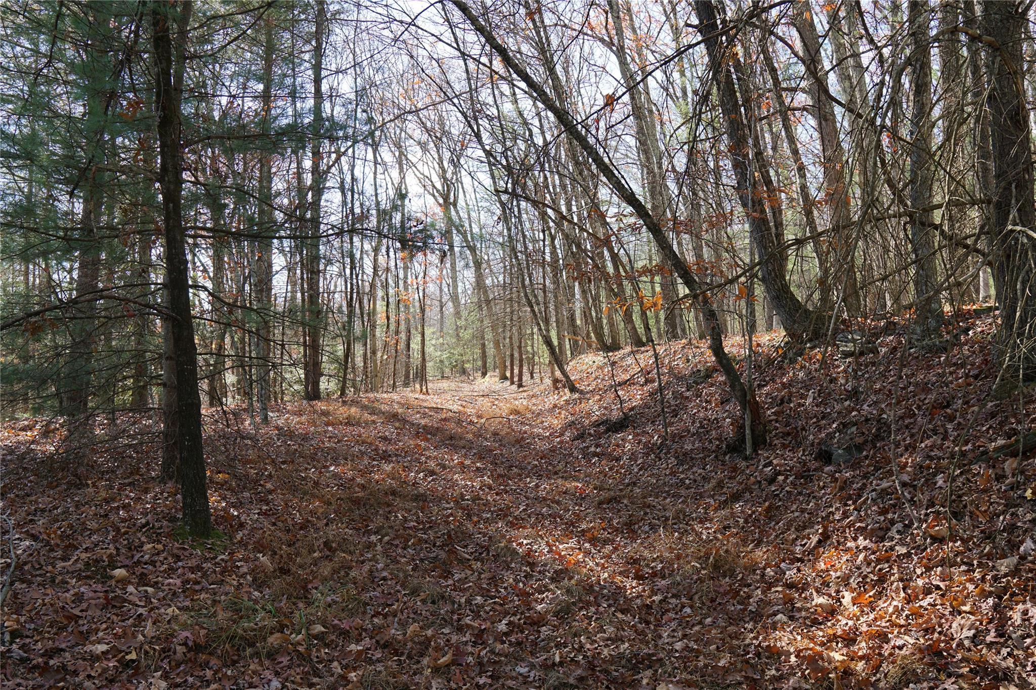 Caskey Road, Glen Spey, New York image 6