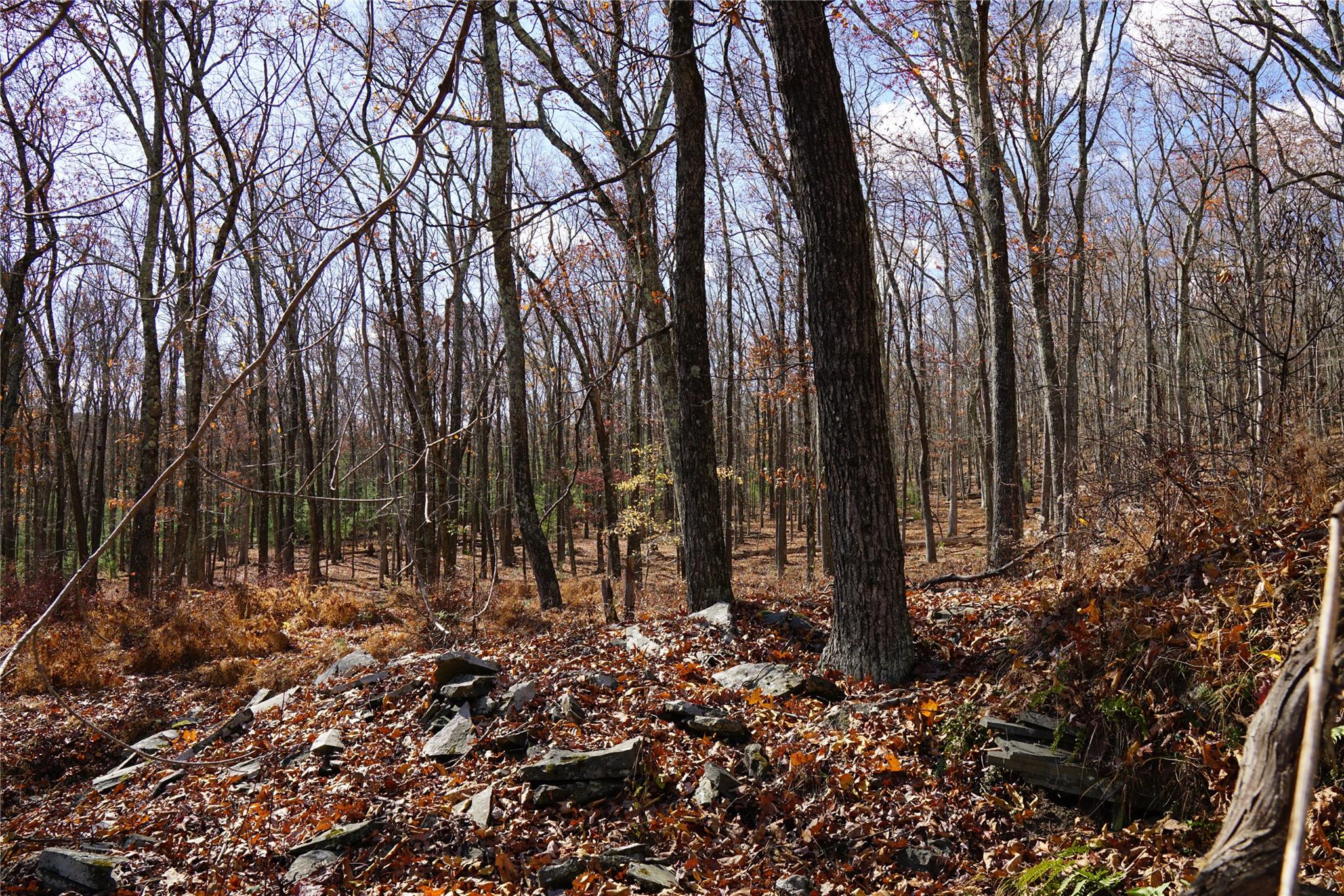 Caskey Road, Glen Spey, New York image 18