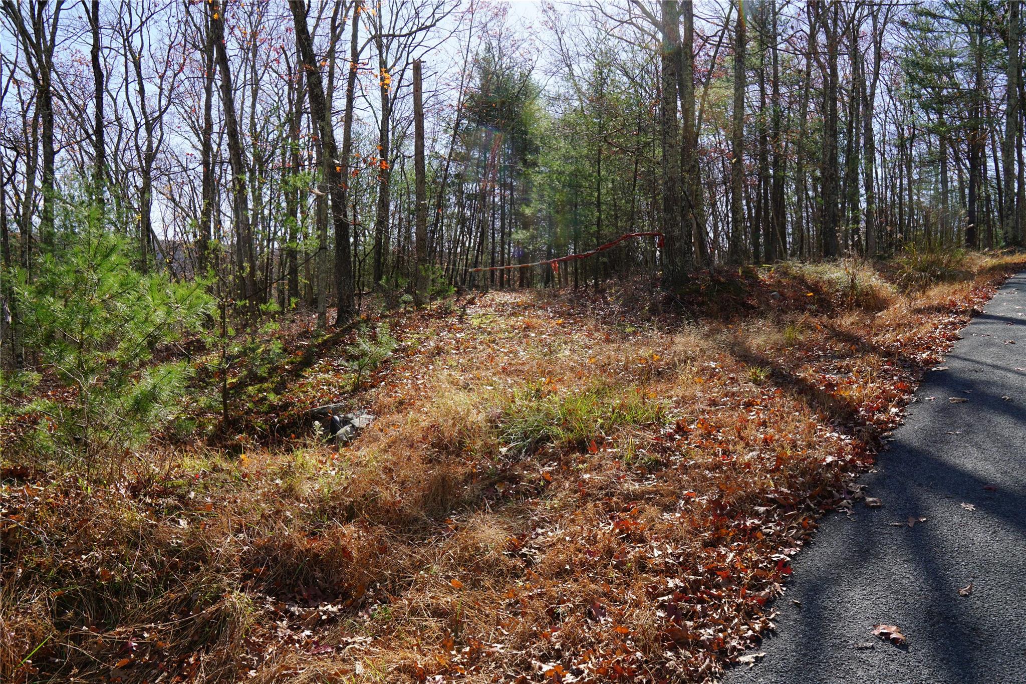 Caskey Road, Glen Spey, New York image 2