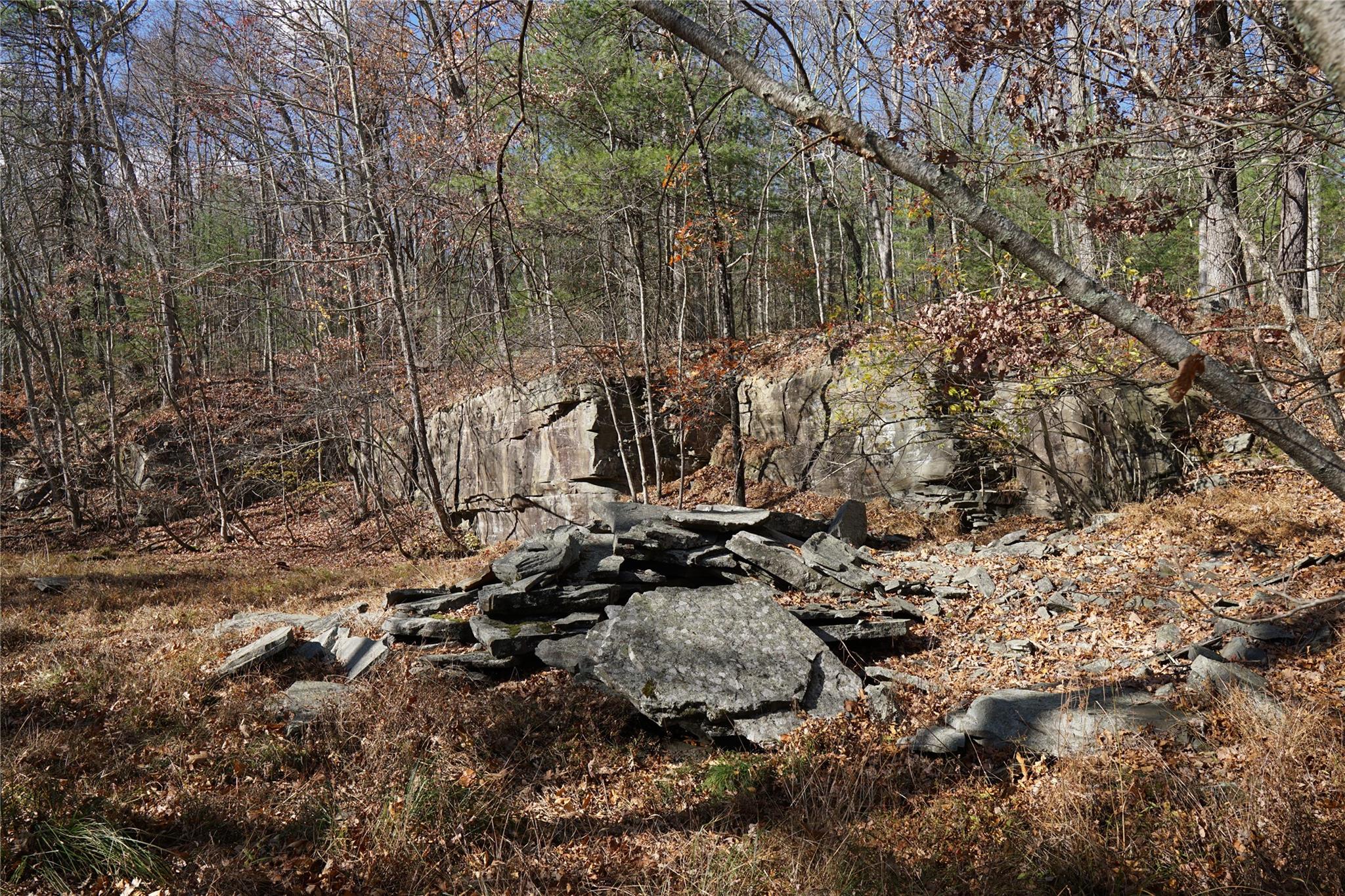 Caskey Road, Glen Spey, New York image 10