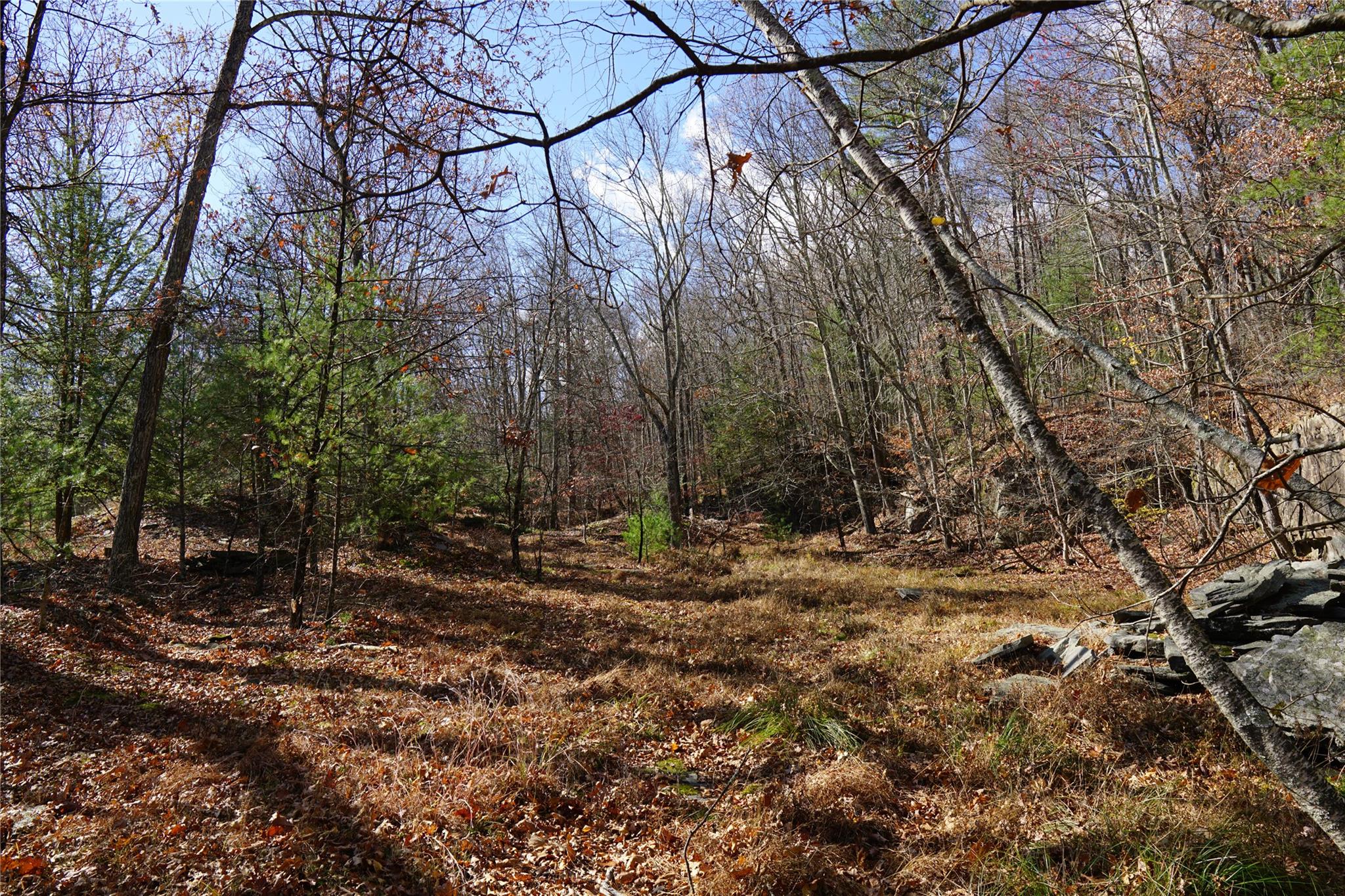 Caskey Road, Glen Spey, New York image 9