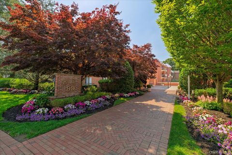 Condo For Sale - 99 S Park Avenue #212<br/> Rockville Centre, NY 11570