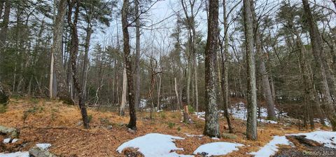 Vacant Land For Sale - Deer Hill Road<br/> Wurtsboro, NY 12790