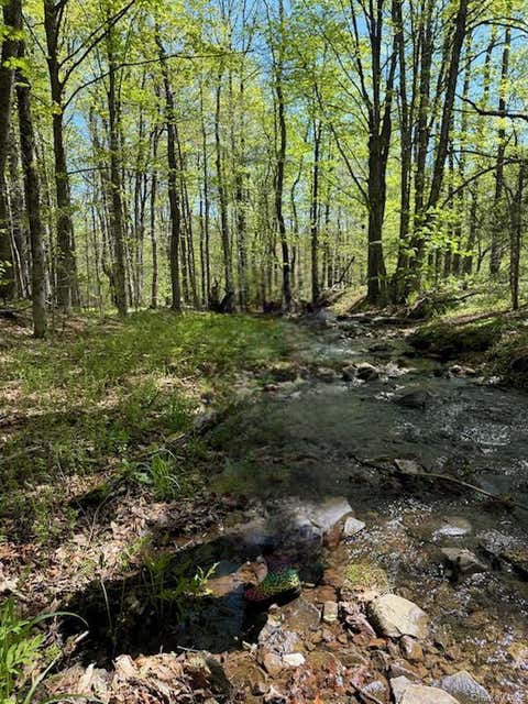 Vacant Land For Sale - Cr 92<br/> Roscoe, NY 12736