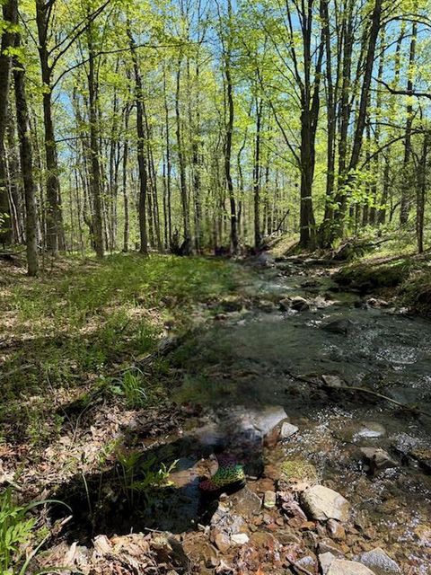 Cr 92 Roscoe NY 12736