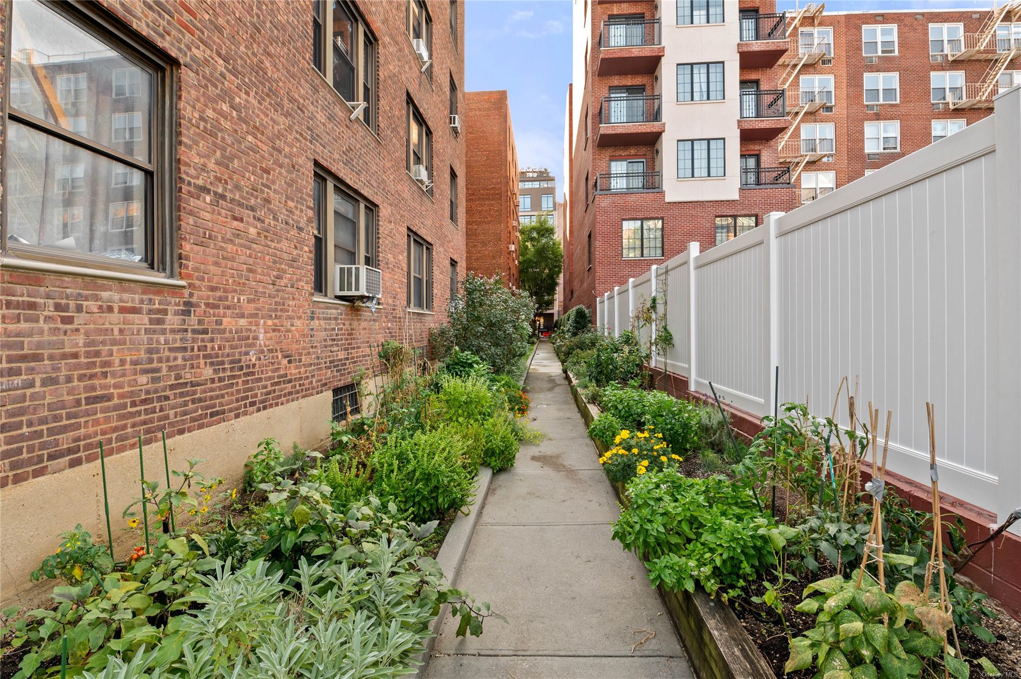 25-40 31st Avenue #6M, Astoria, New York image 16