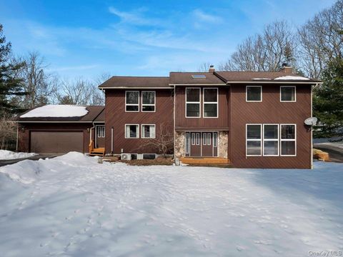 118 Split Rock Drive Barryville NY 12719