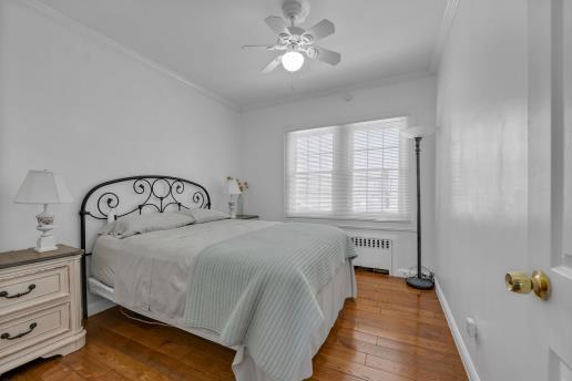 199 Tulip Avenue, Floral Park, New York image 13