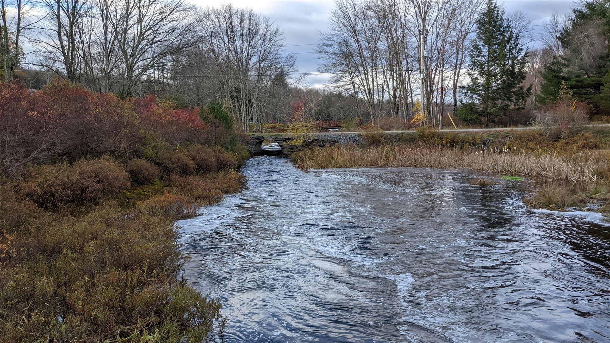 TBD John Bishop Road, Swan Lake, New York image 3