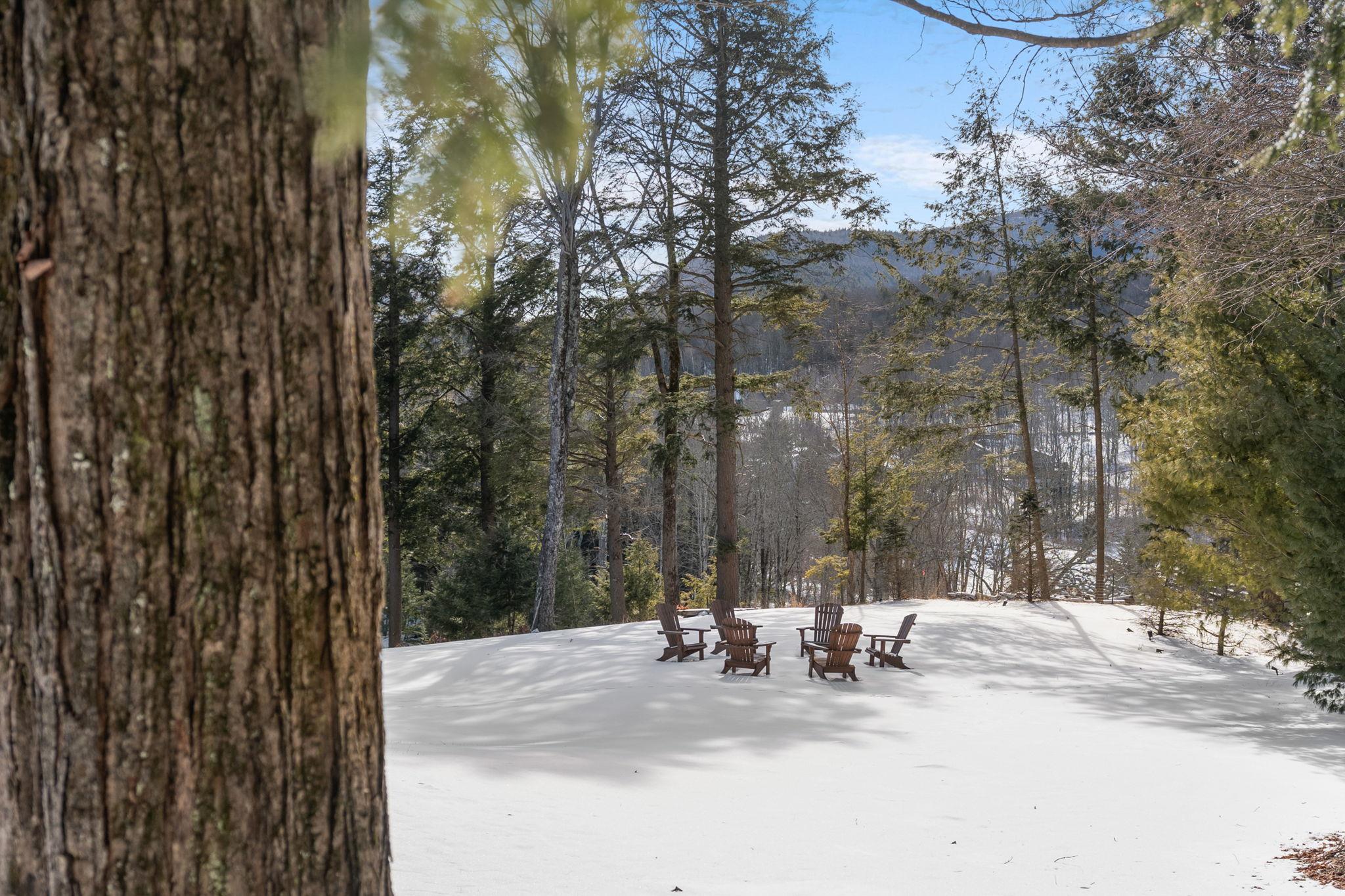 98 Goodrich Lane, Hunter, New York image 44