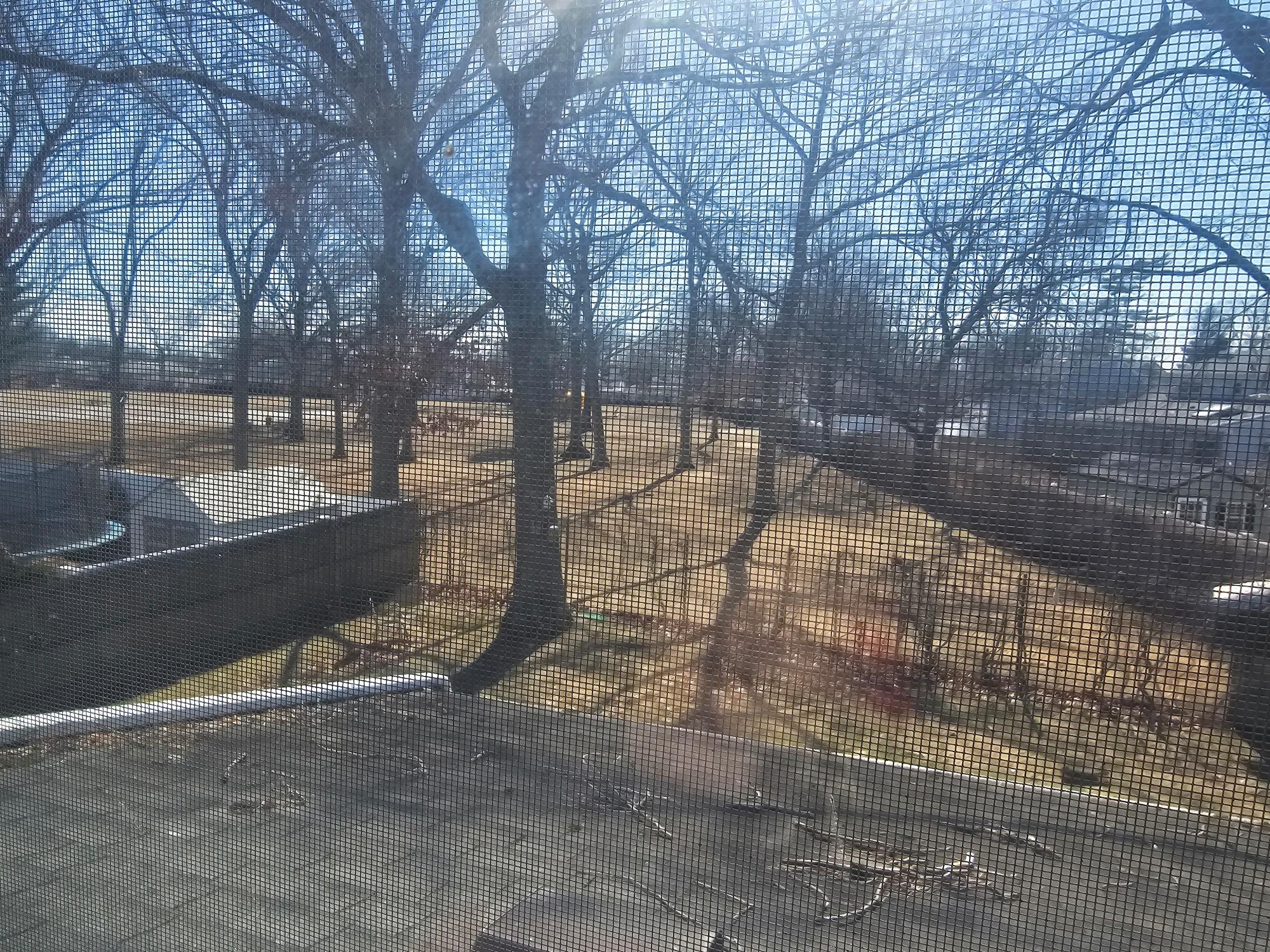 3 Cedar Place, Massapequa, New York image 24