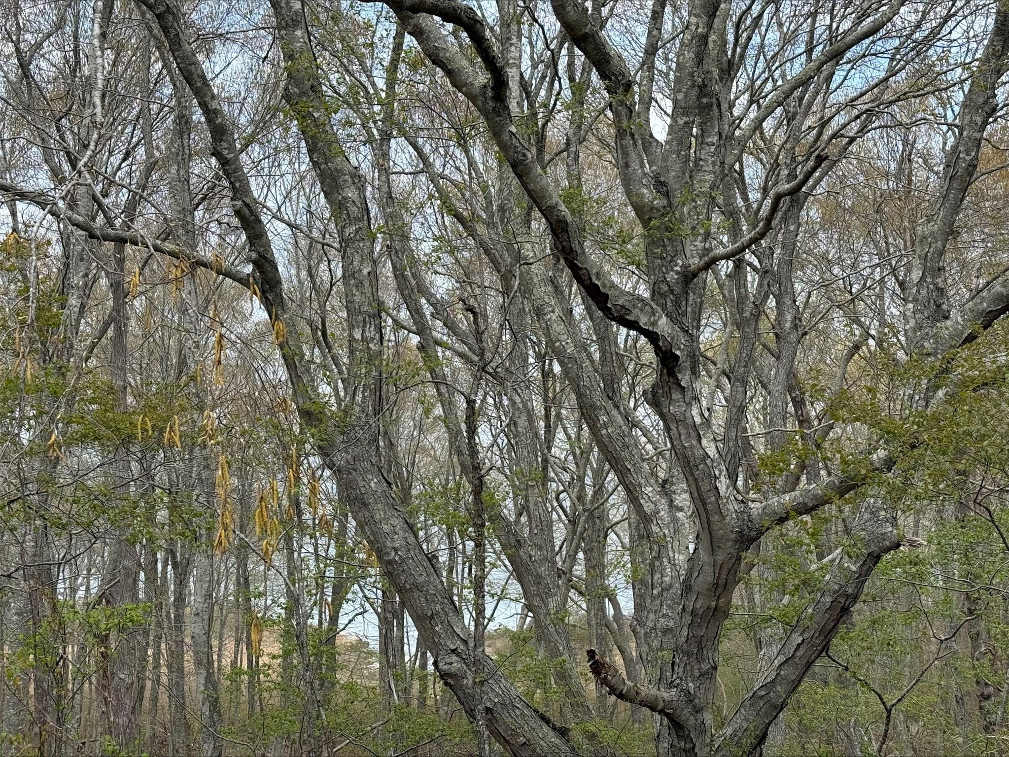 00 East End Road, Fishers Island, New York image 4