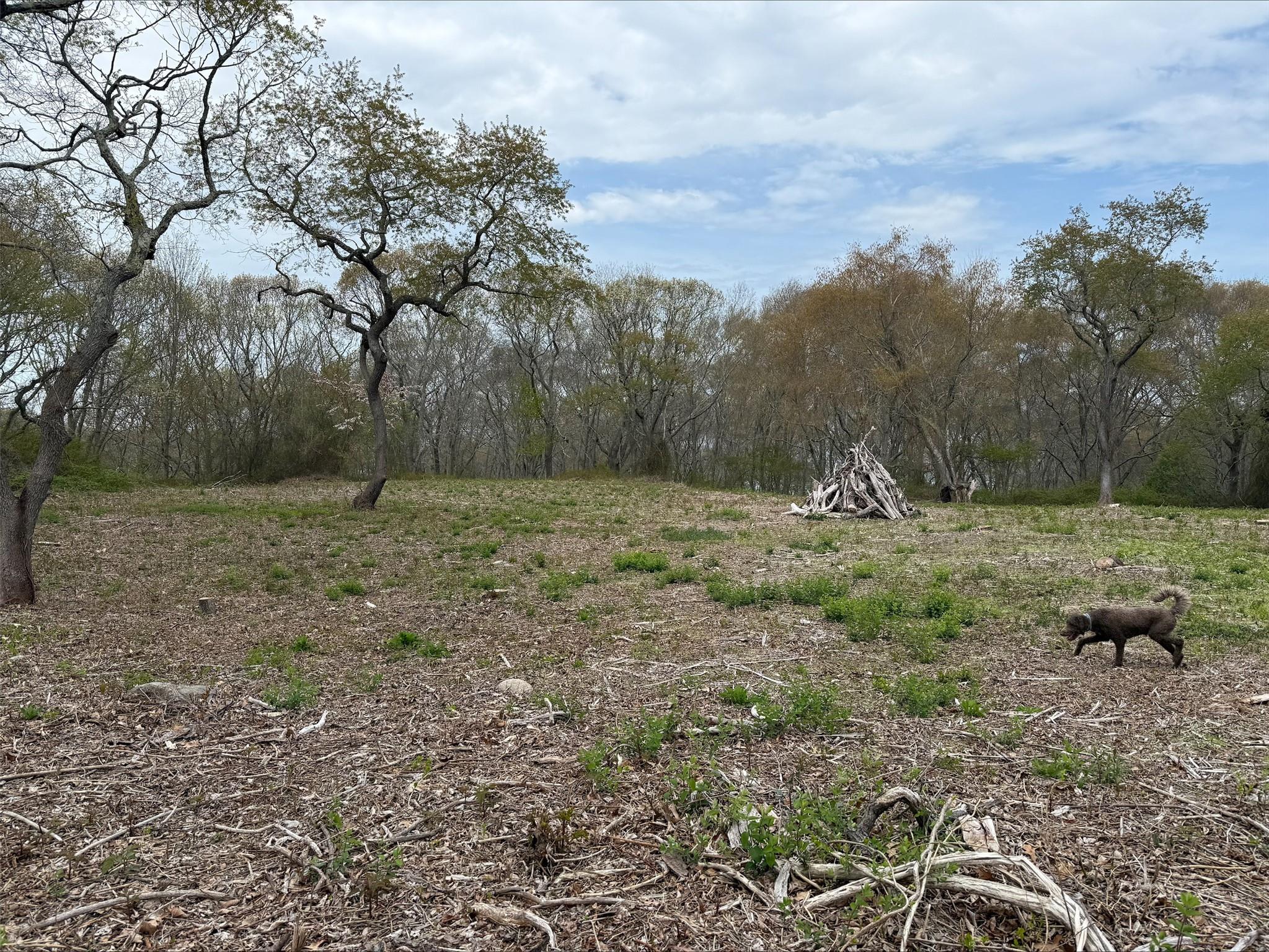 00 East End Road, Fishers Island, New York image 3