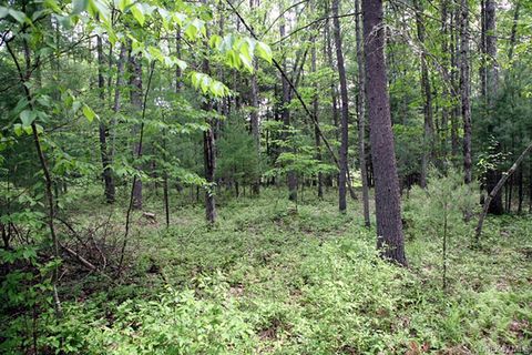 country Road Callicoon NY 12723