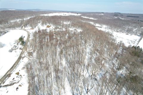 Vacant Land For Sale - TBD Stump Pond Road<br/> Livingston Manor, NY 12758