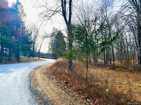 Vacant Land For Sale - 56 Route 209<br/> Port Jervis, NY 12771