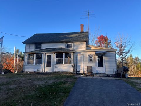 279 Cold Spring Road Monticello NY 12701