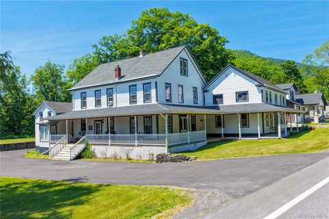 Multifamily For Sale - 3361 Rt-23a<br/> Greene County, Palenville, NY 12414