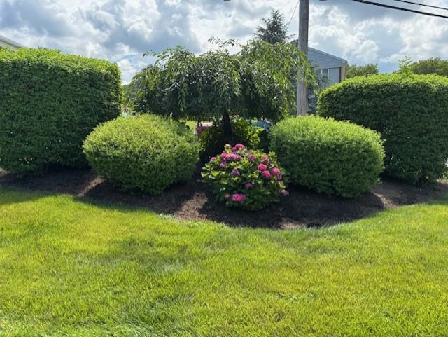 12 Winchester Avenue DM
