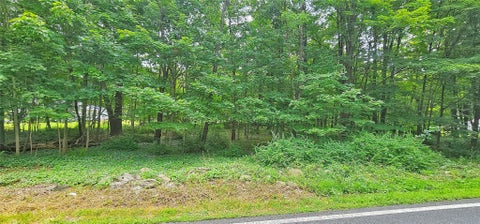 Photo for South Plank Road
