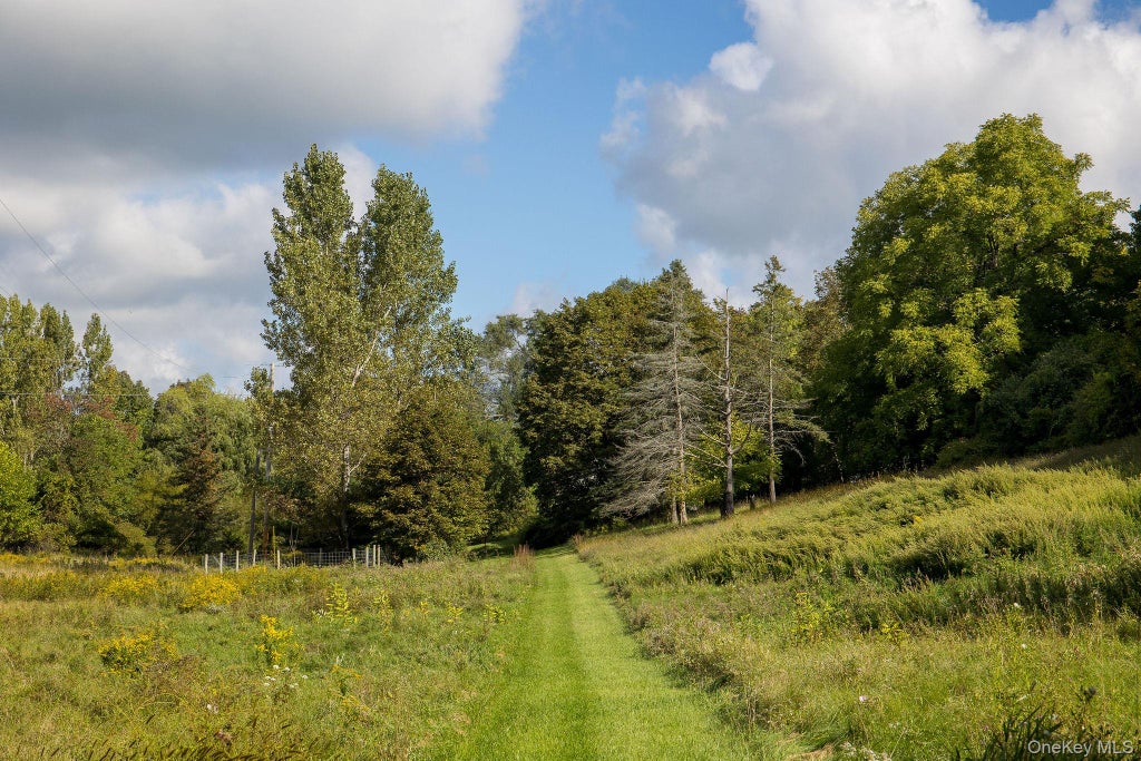 Photo of 861 Snydertown Road, Claverack, NY 12521 (MLS # 1050229)