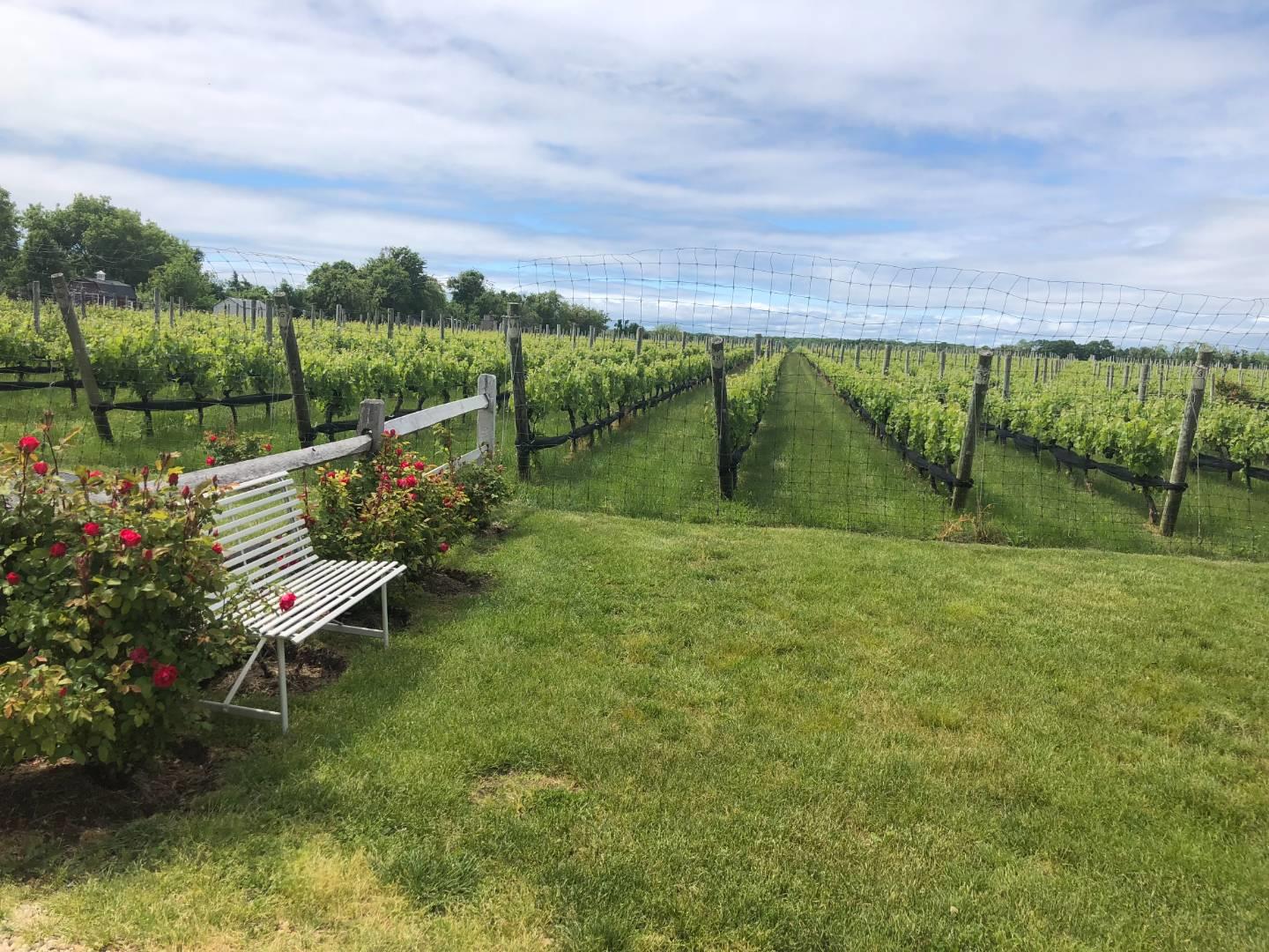 1745 Nokomis Road Rd, Southold, New York image 20