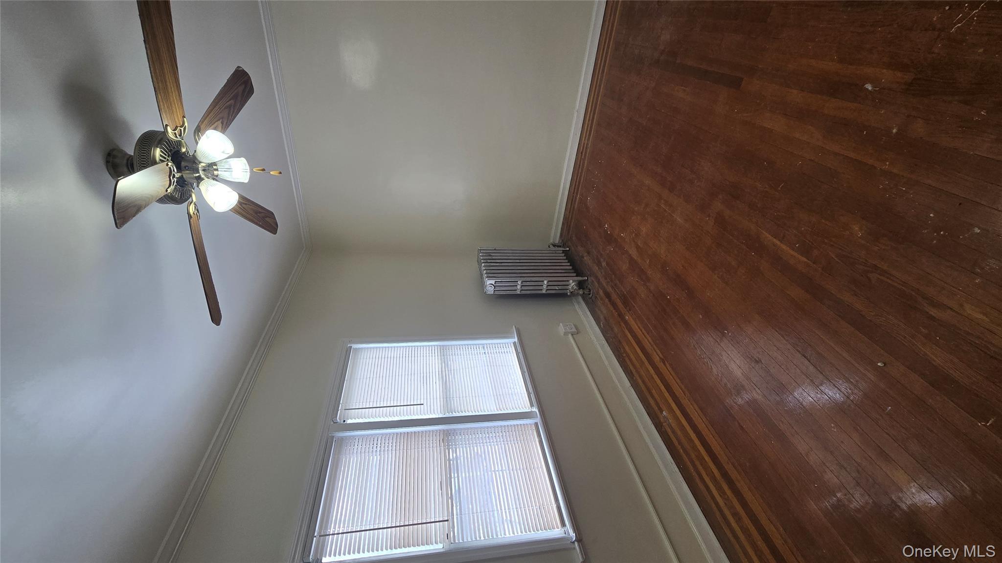 641 S 5th Avenue 1st Floor