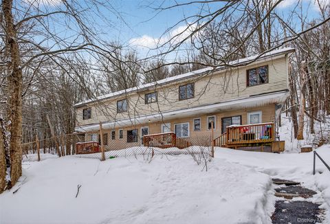 1189 State Route 52 Fallsburg NY 12759