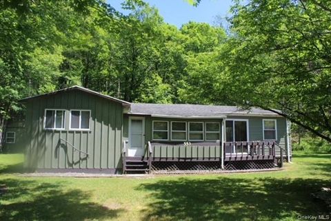 Homes For Sale - 553 Friedenstein Road<br/> Long Eddy, NY 12760