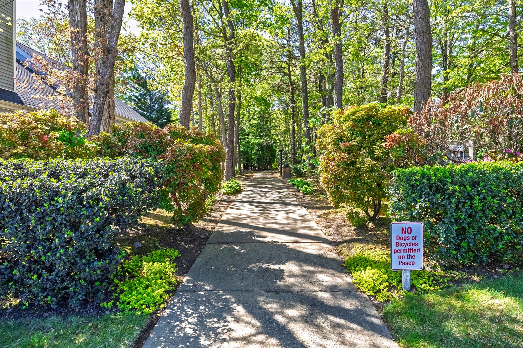 437 Leisure Drive, Ridge, New York image 26