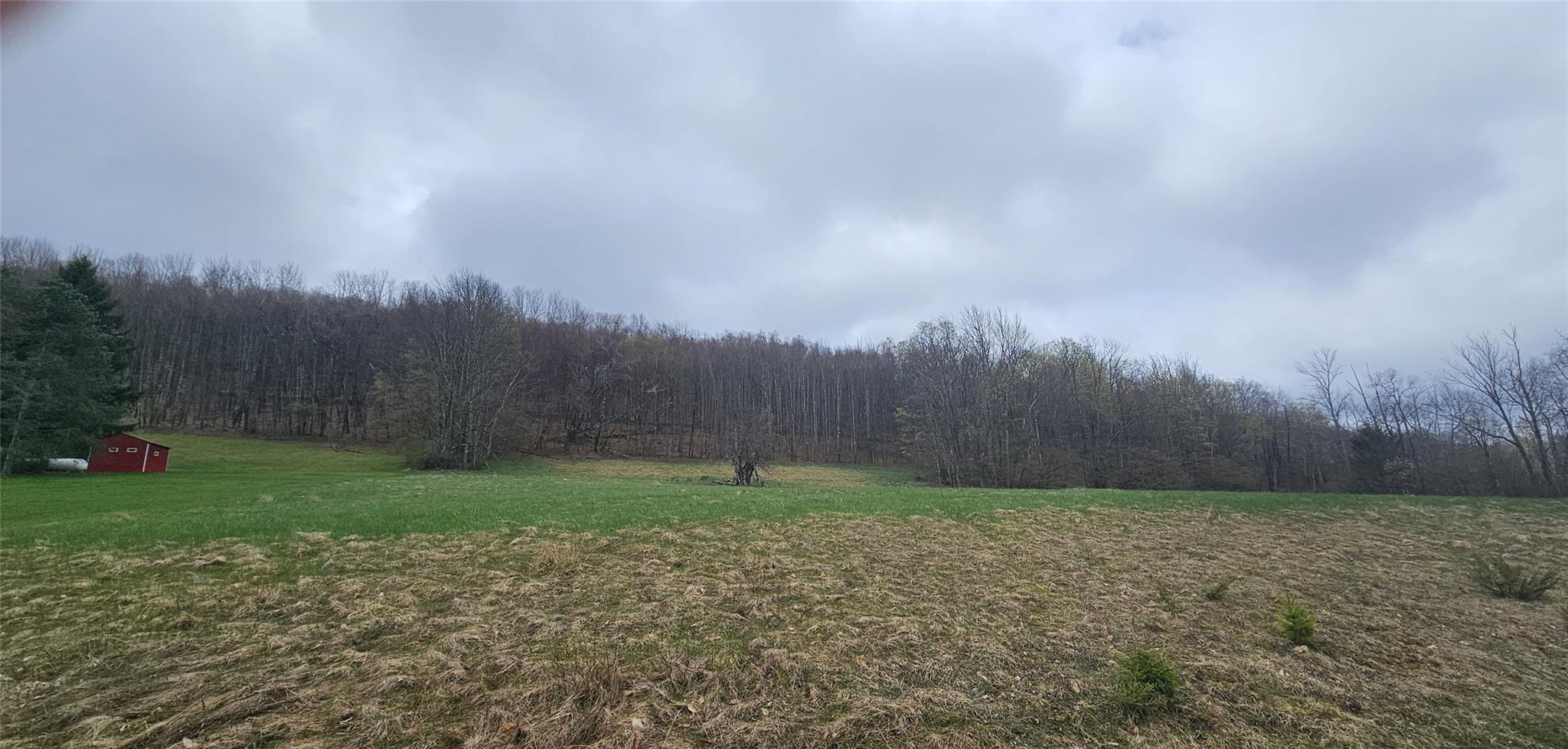 Lot 7.4 Hankins Road, Hankins, New York image 3