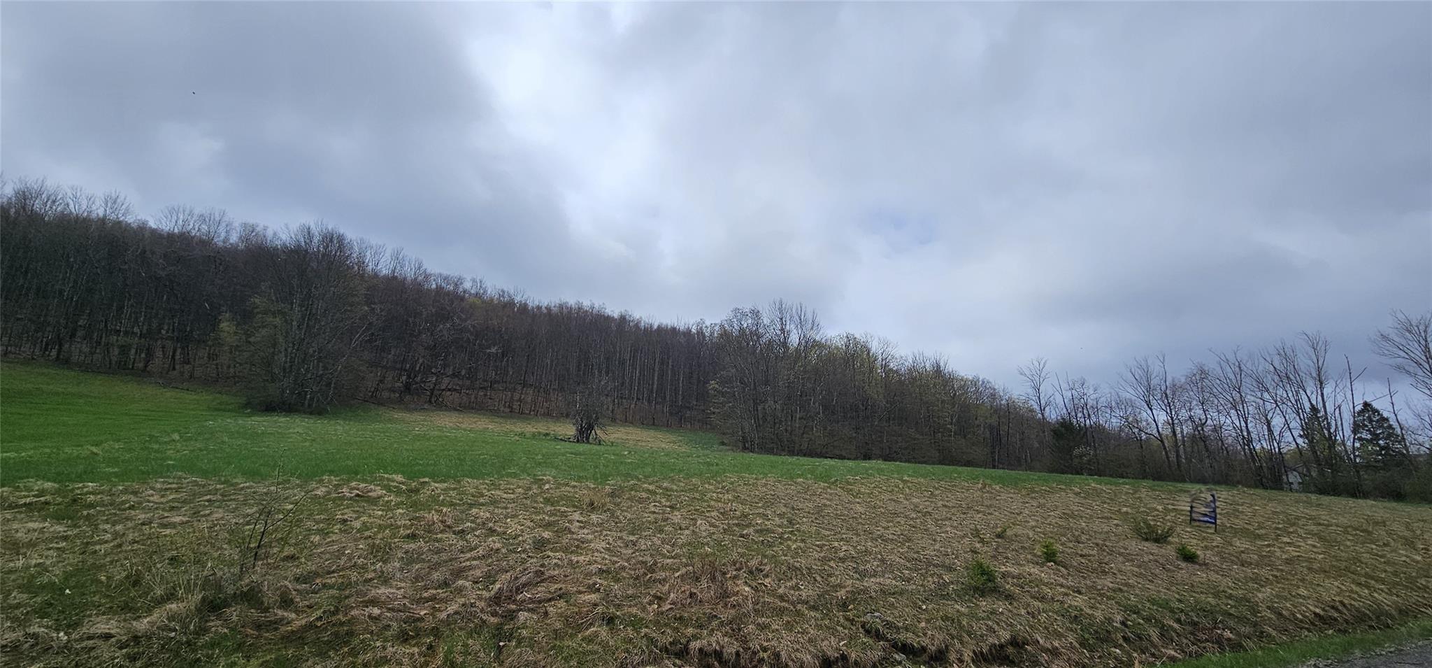 Lot 7.4 Hankins Road, Hankins, New York image 1