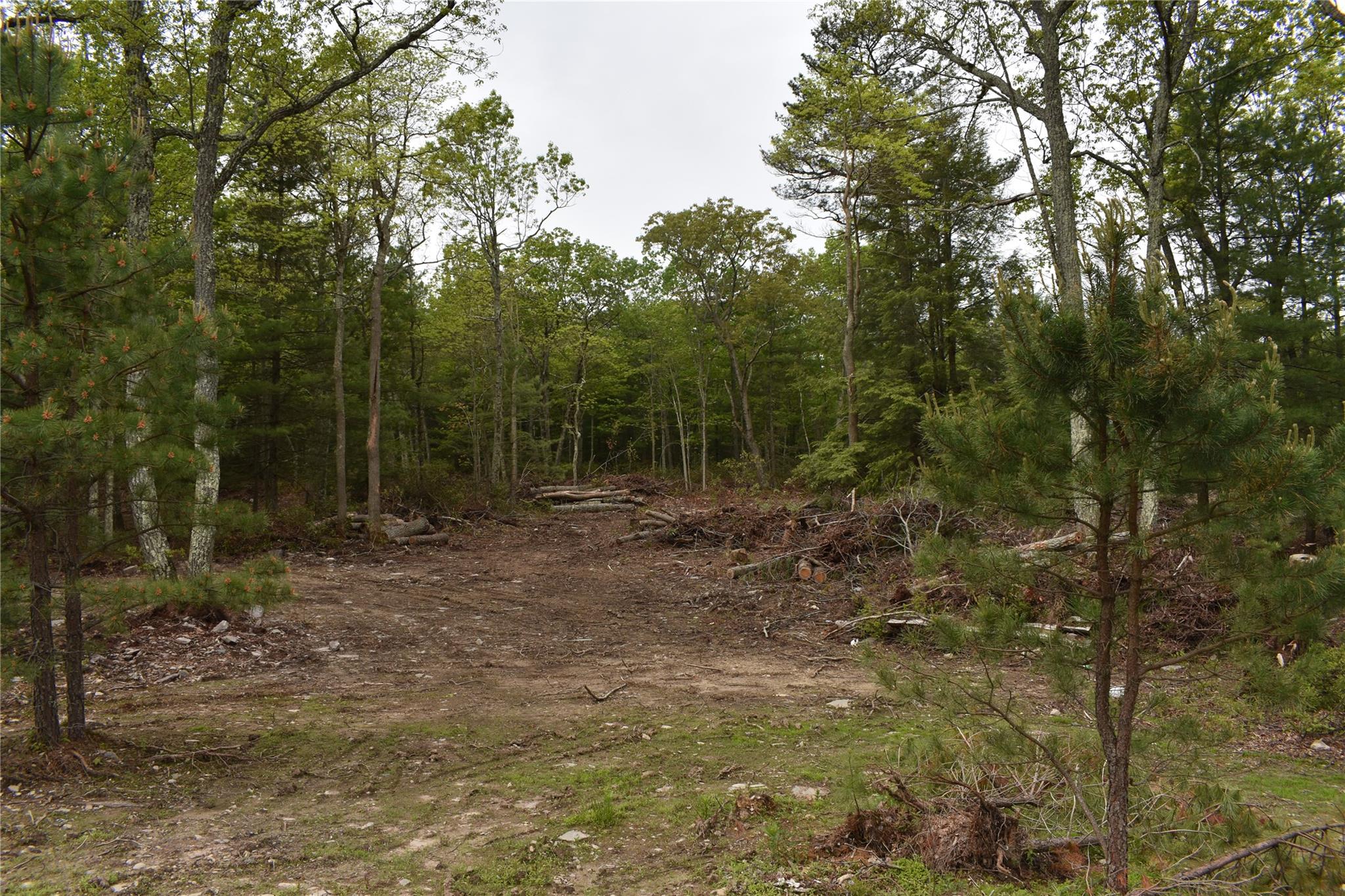 Lot 10 Big Rock Drive, Wurtsboro, New York image 9