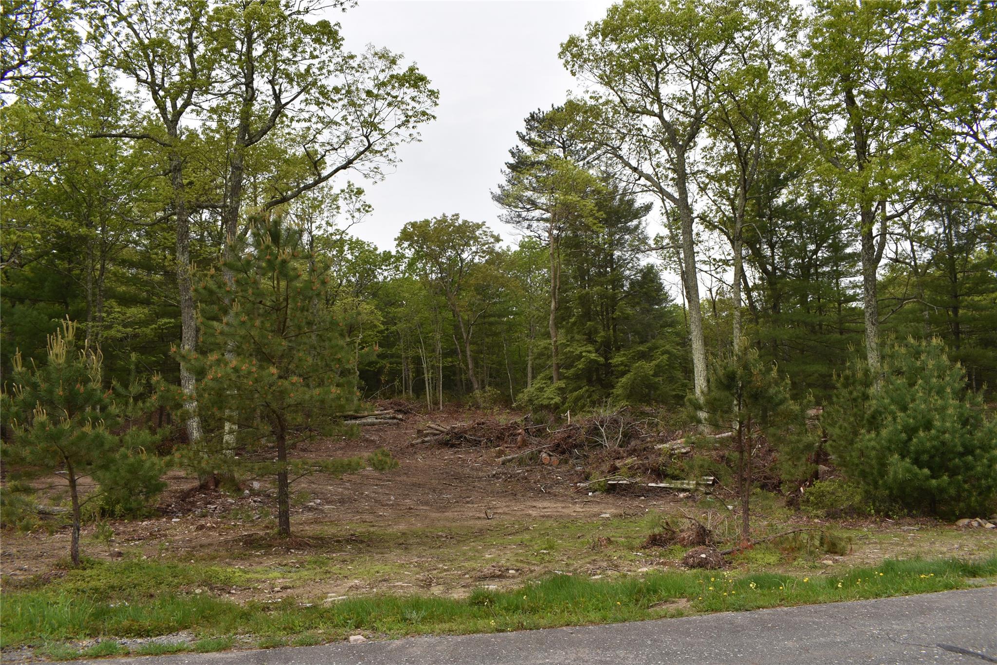 Lot 10 Big Rock Drive, Wurtsboro, New York image 5