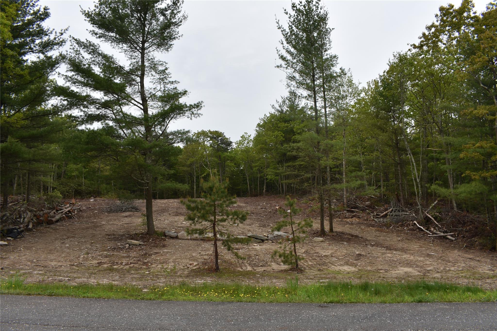 Lot 10 Big Rock Drive, Wurtsboro, New York image 2