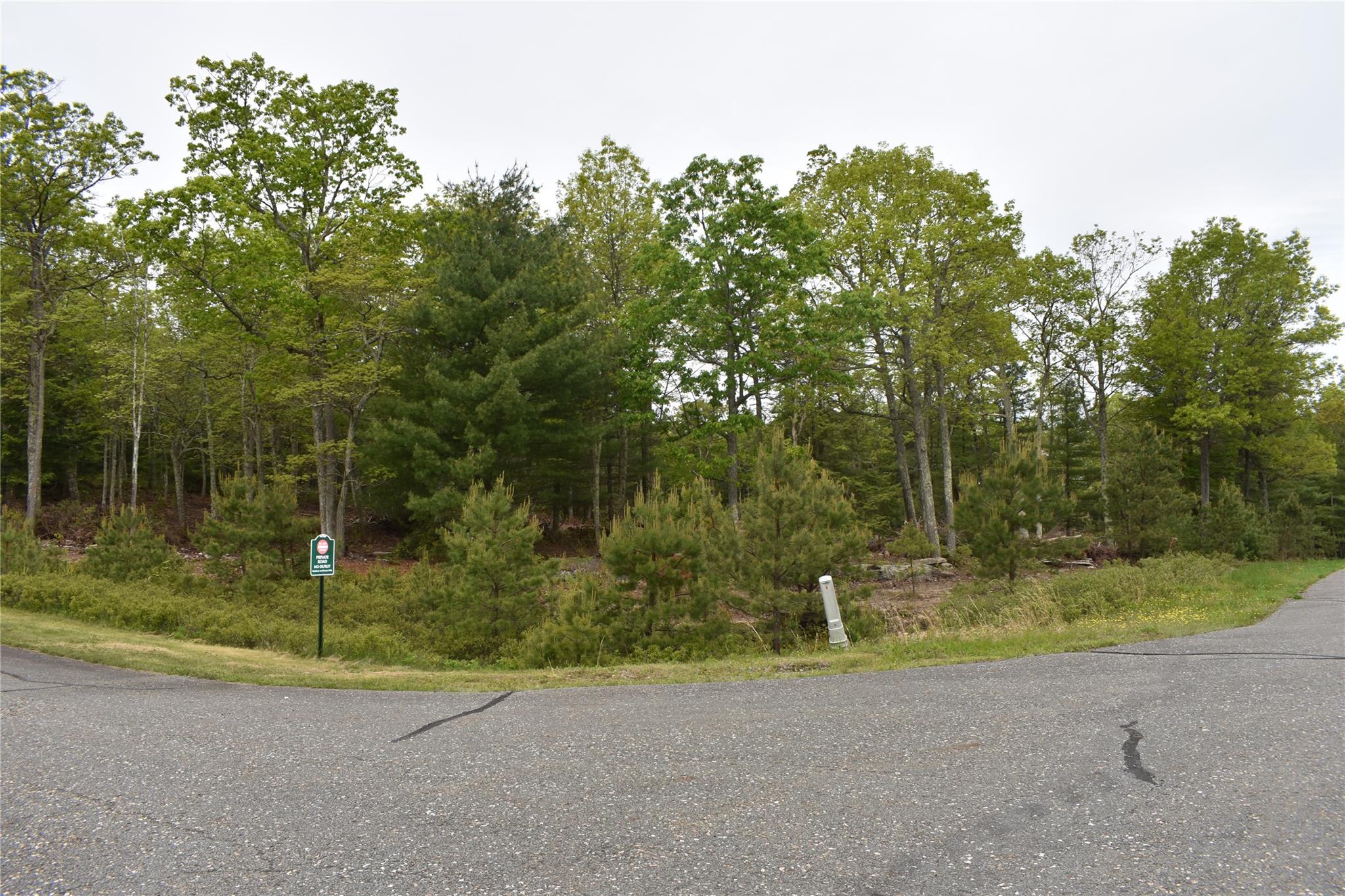 Lot 10 Big Rock Drive, Wurtsboro, New York image 6