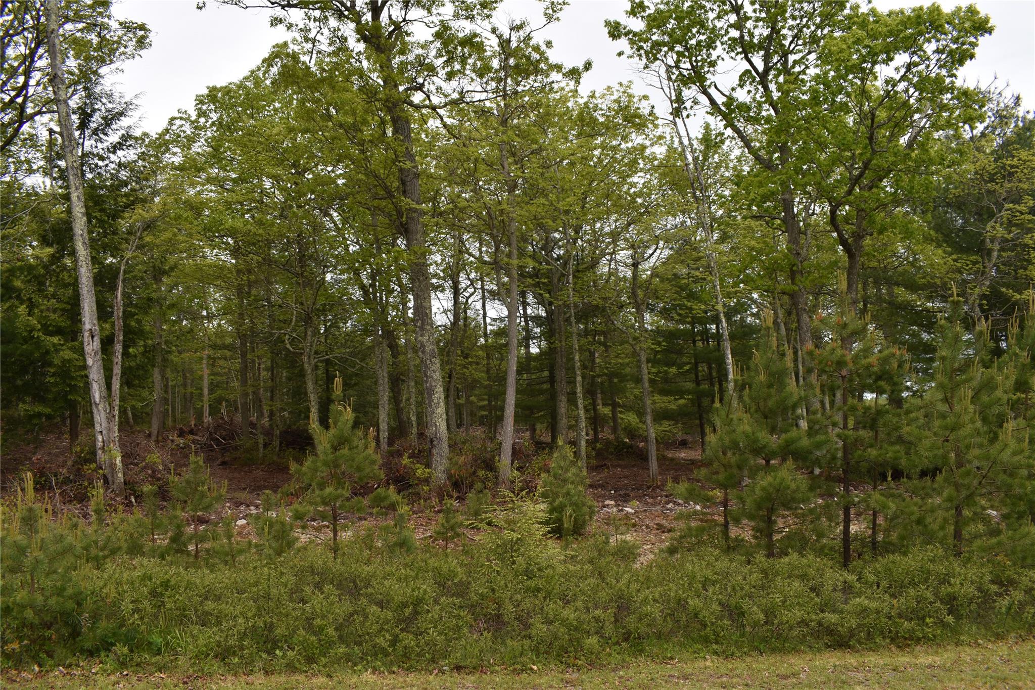 Lot 10 Big Rock Drive, Wurtsboro, New York image 7