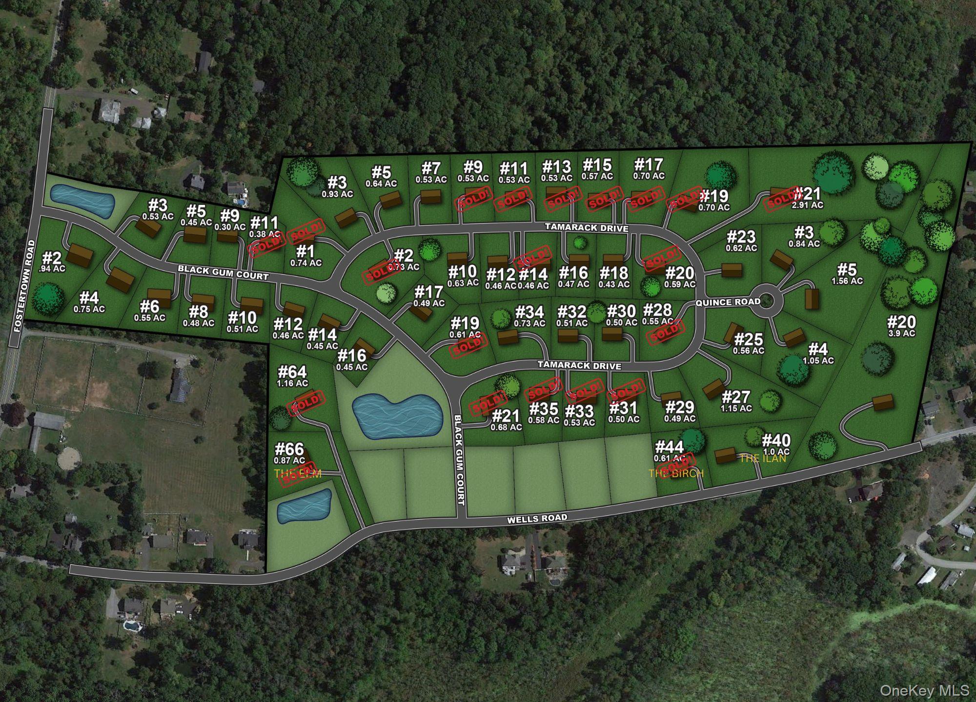 29 Tamarack Drive