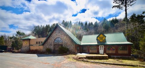 6 Main Street Parksville NY 12768