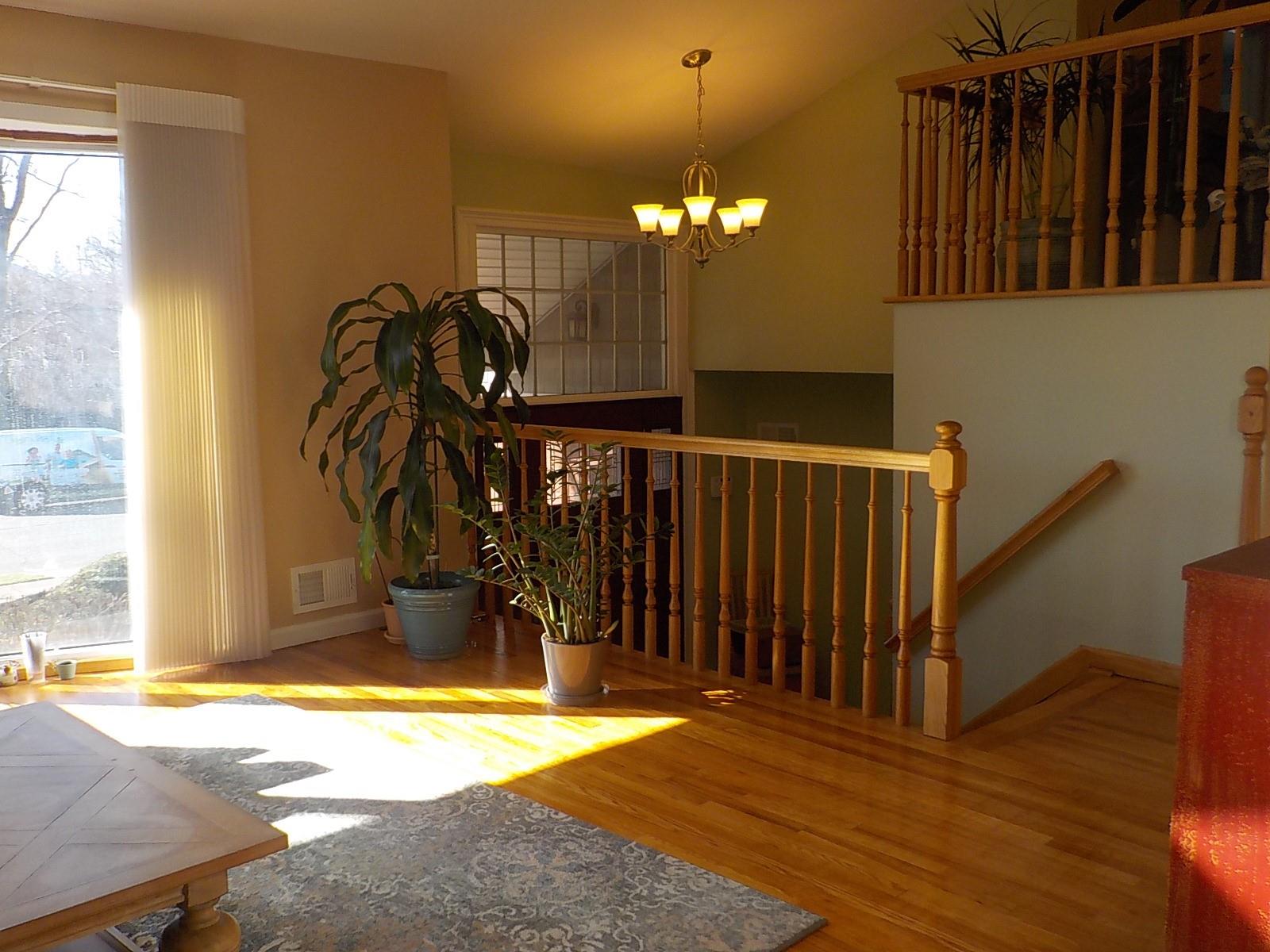24 Sullivan Drive, Jericho, New York image 15