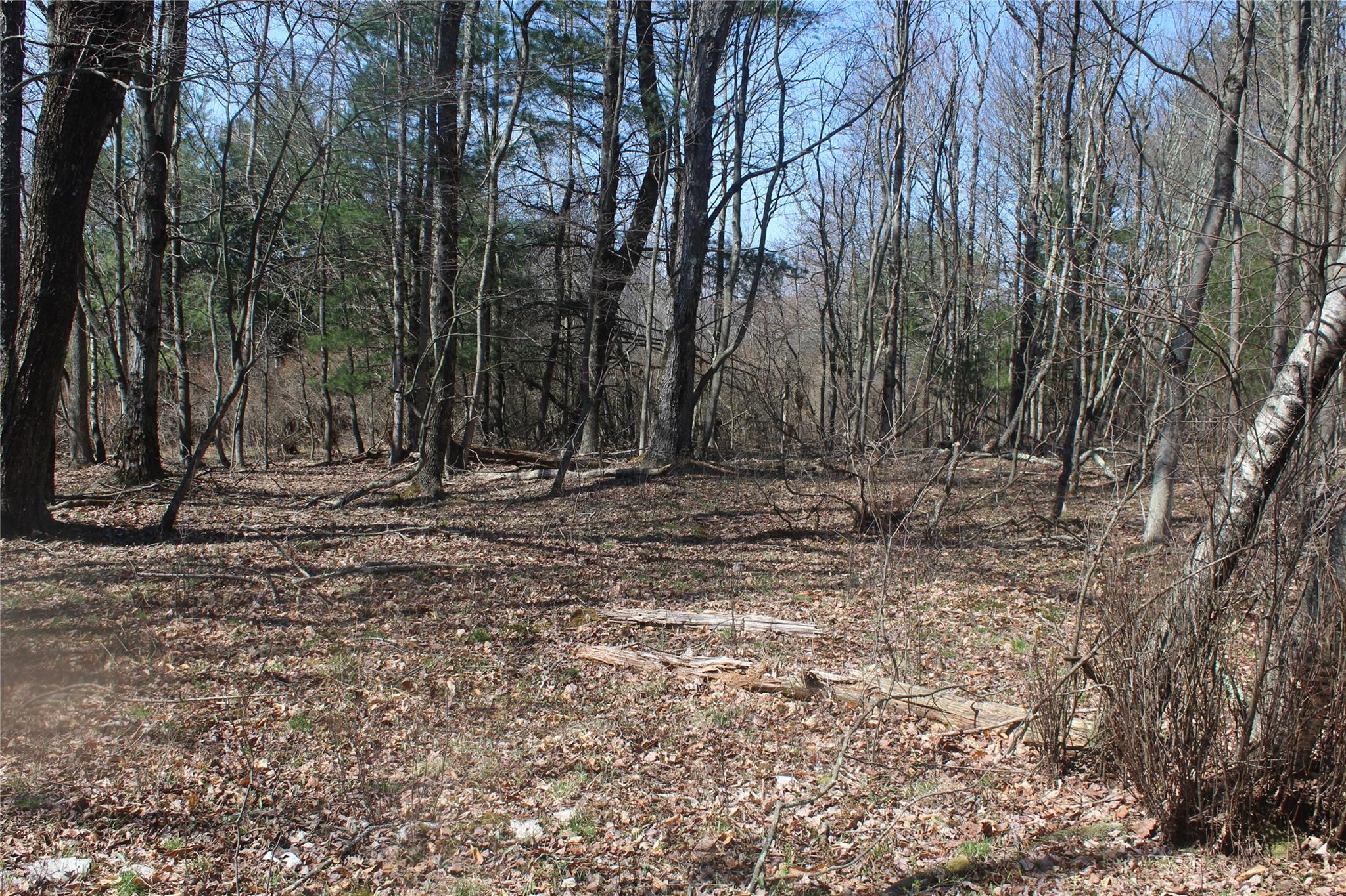 927-943 Briscoe Road, Swan Lake, New York image 7