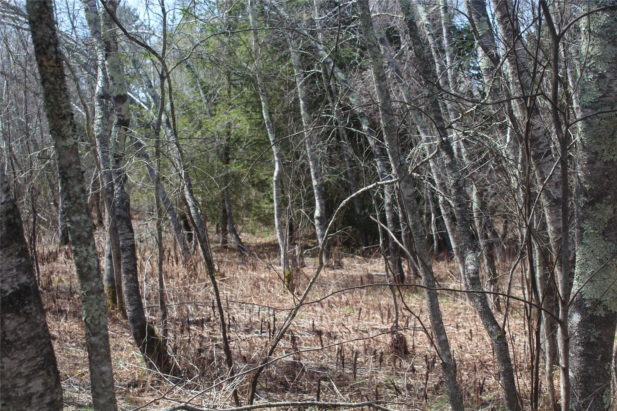 927-943 Briscoe Road, Swan Lake, New York image 3
