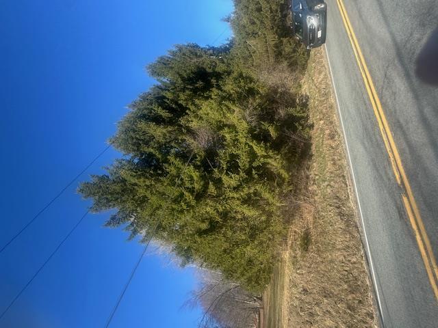 927-943 Briscoe Road, Swan Lake, New York image 11