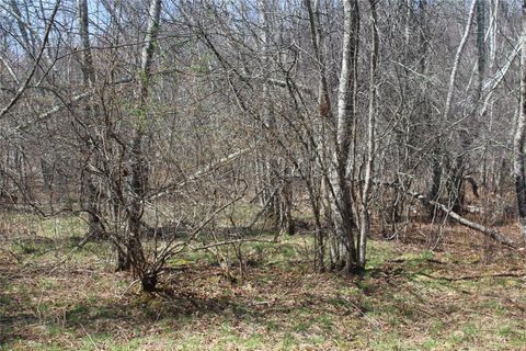 Vacant Land For Sale - 927-943 Briscoe Road<br/> Swan Lake, NY 12783