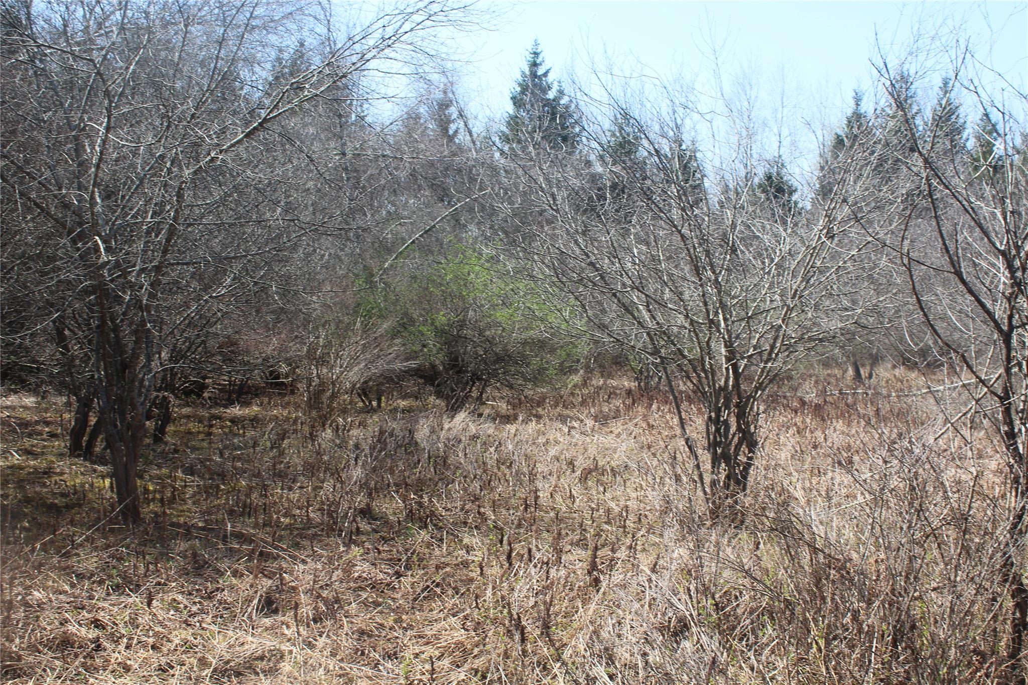 927-943 Briscoe Road, Swan Lake, New York image 5