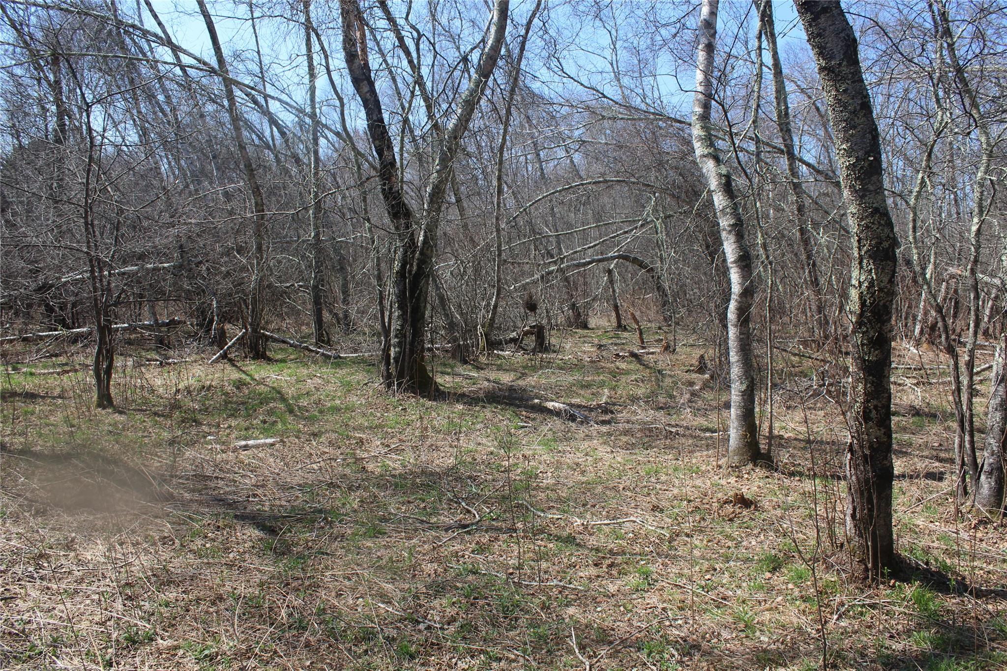 927-943 Briscoe Road, Swan Lake, New York image 10