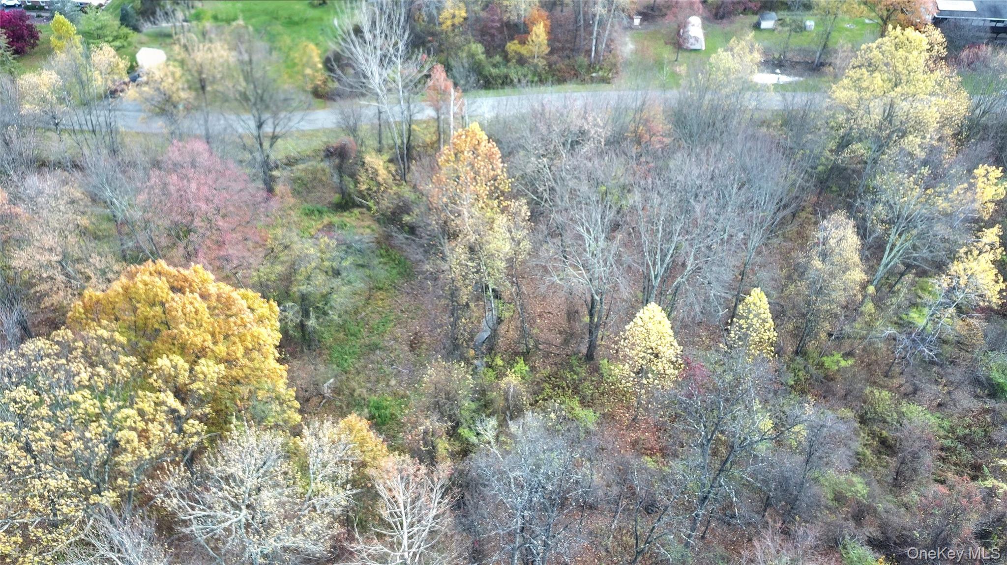 TBD Evy/Chestnut Lane