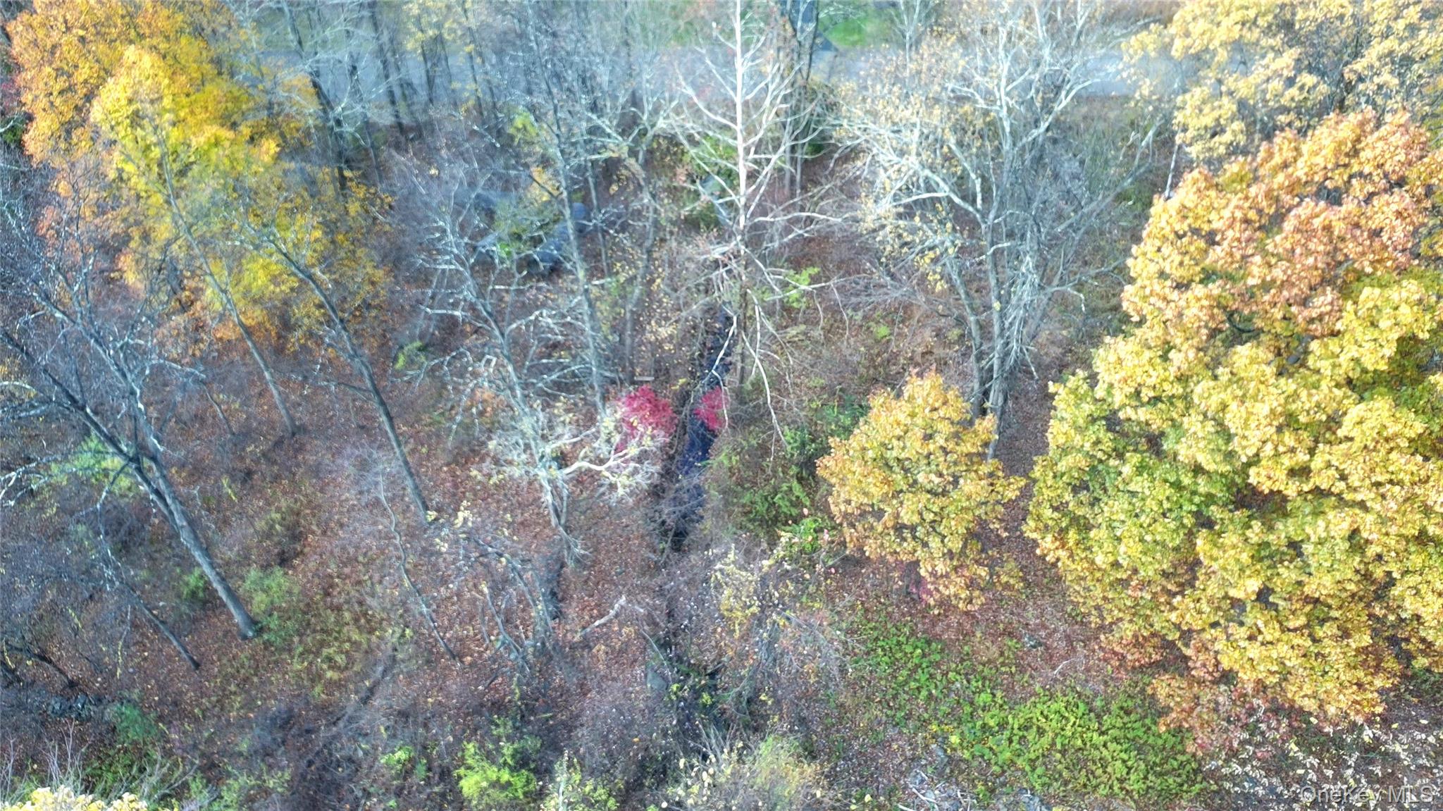 TBD Evy/Chestnut Lane