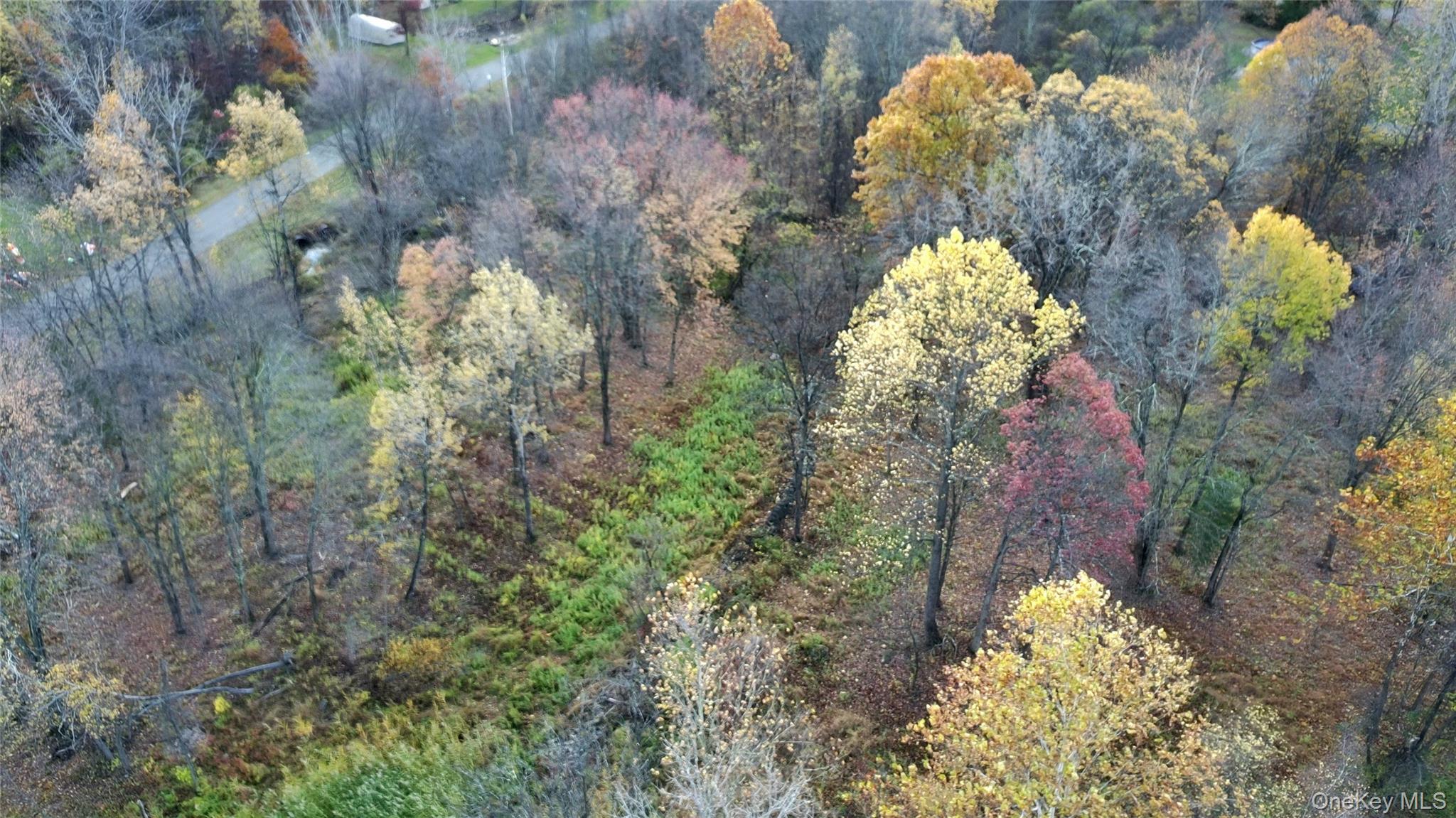 TBD Evy/Chestnut Lane