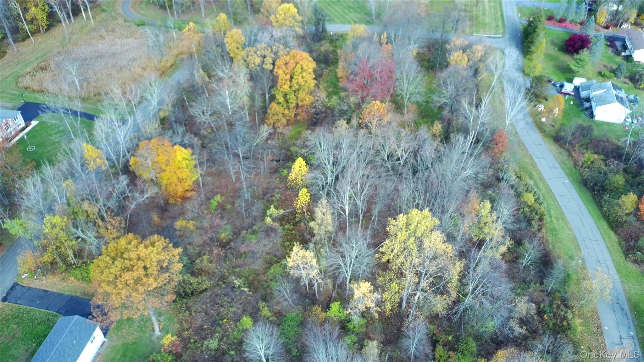 TBD Evy/Chestnut Lane